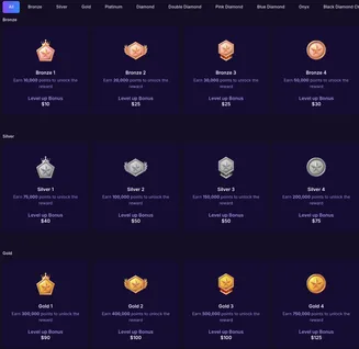 Spinbet VIP Tier Progress Dashboard